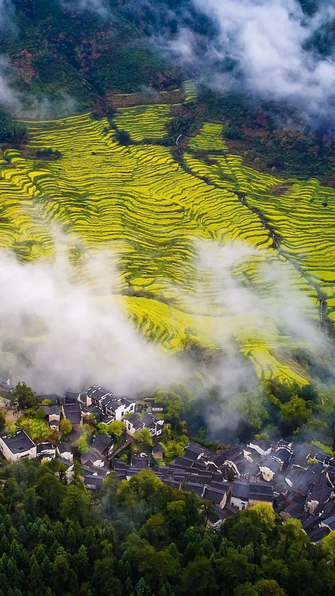 江西,风华绝代的多彩宝藏